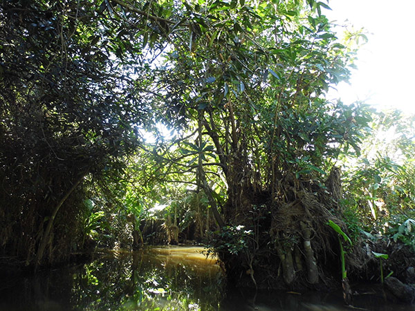 réserve Nahammpoana